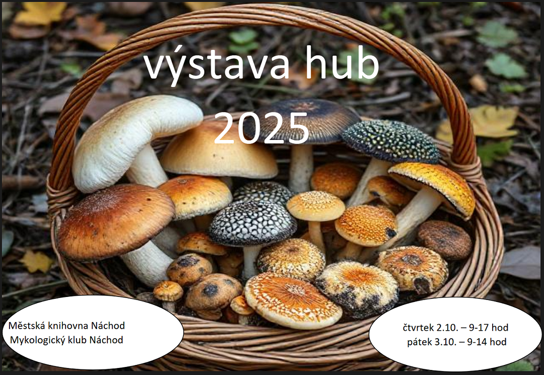 vystava-hub-2025.png